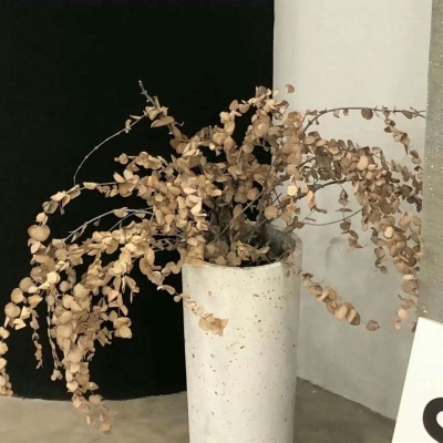 Furry插画氛围营造Furry群